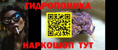 прущие крисы Новокубанск