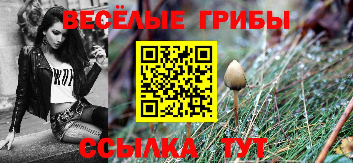 Галлюциногенные грибы Cubensis  Псилоцибиновые грибы ЛСД  Вход с VPN  закладки  Слободской 