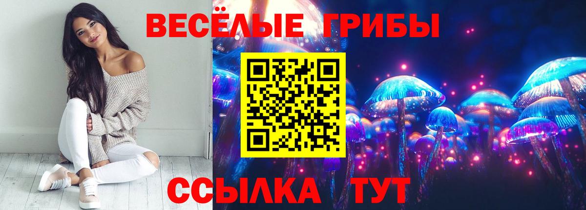 Псилоцибиновые грибы MAGIC MUSHROOMS Слободской